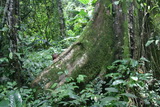 2006_07_16_029.JPG