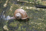 2006_07_16_038.JPG