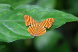 2006_07_16_040.JPG