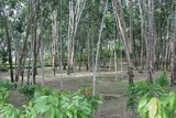 2006_07_16_061.JPG