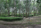 2006_07_16_064.JPG
