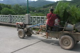 2006_07_16_070.JPG