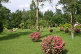 2006_07_16_081.JPG