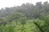 2006_07_18_001.JPG