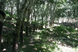 2006_07_21_026.JPG