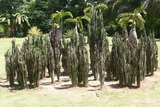 2006_07_26_011.JPG