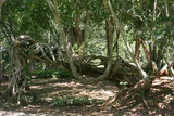 2006_07_26_025.JPG
