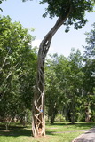 2006_07_26_031.JPG