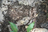 2006_07_28_026.JPG