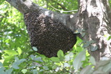 2006_07_28_031.JPG