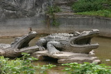 2006_07_31_005.JPG