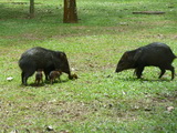 2011_05_27_005.JPG