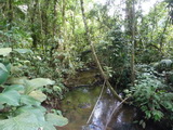 2011_05_27_013.JPG
