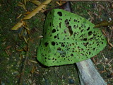 2011_05_27_033.JPG