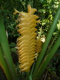 2011_05_27_036.JPG