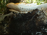 2011_05_27_038.JPG