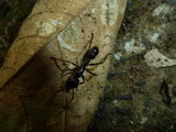 2011_05_27_041.JPG