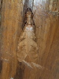 2011_05_27_044.JPG