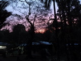 2011_05_27_047.JPG