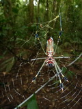 2011_05_28_004.JPG