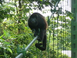 2011_05_29_007.JPG