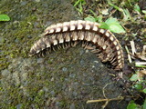 2011_05_29_009.JPG
