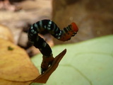 2011_05_29_012.JPG