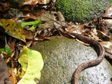2011_05_30_004.JPG