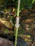 2011_05_30_016.JPG