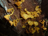2011_05_30_020.JPG