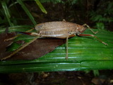 2011_05_31_004.JPG