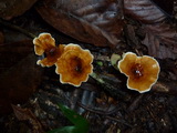 2011_06_01_003.JPG