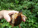 2011_06_02_014.JPG