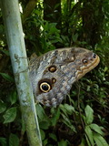 2011_06_04_002.JPG
