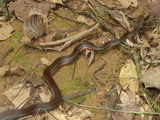 2011_06_04_047.JPG