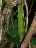 2011_06_04_062.JPG
