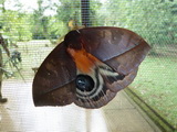 2011_06_05_001.JPG