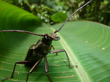 2011_06_06_013.JPG