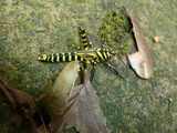 2011_06_06_018.JPG