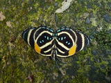 2011_06_06_021.JPG