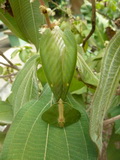 2011_06_09_010.JPG