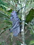2011_06_10_008.JPG