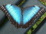2011_06_14_019.JPG