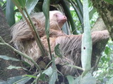 2012_05_30_034.JPG