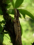 2012_05_31_002.JPG