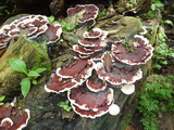 2012_05_31_004.JPG