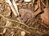 2012_05_31_015.JPG