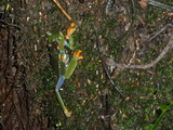 2012_05_31_026.JPG