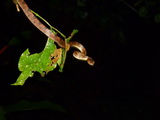 2012_05_31_035.JPG