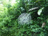 2012_06_01_002.JPG